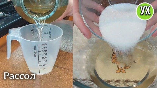 ��������: ������� �� ������� � �������� ������� ��� �������� �����