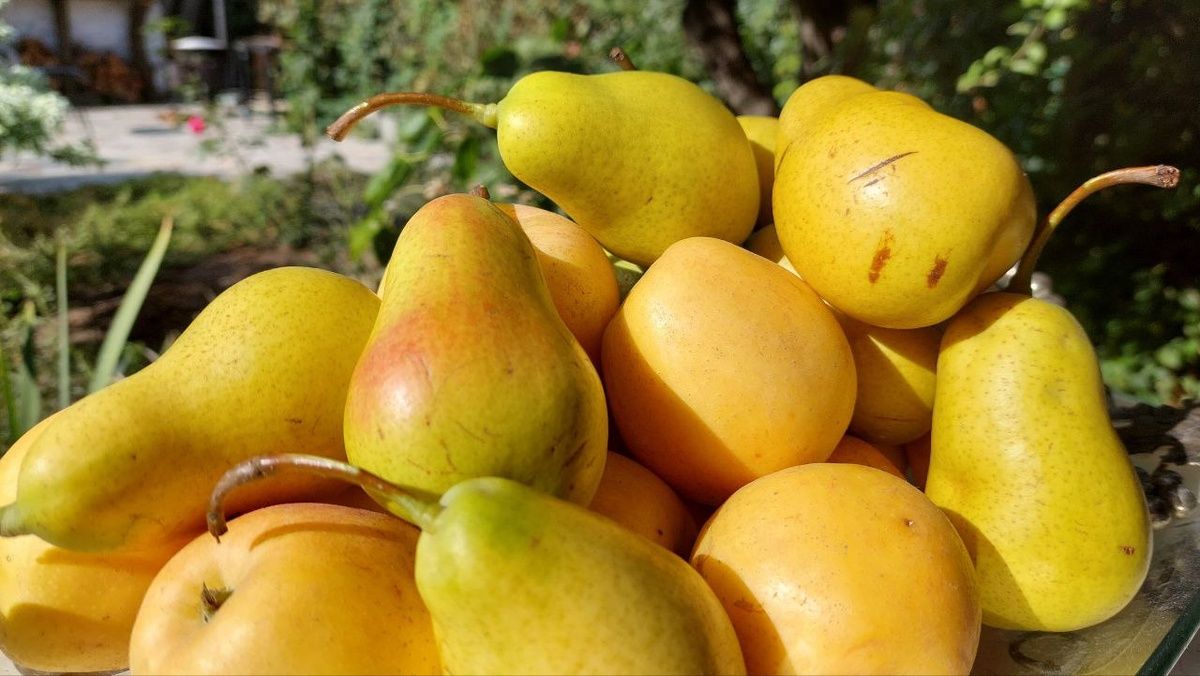 ������������ � �������: ����������� ���� �����