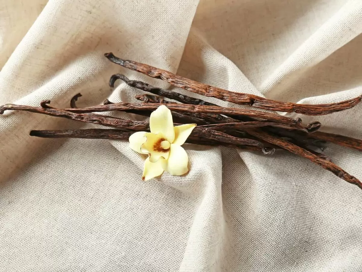 Ваниль: секреты, интересные факты и стоит ли выбирать концентрат?