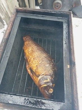 Искусство выбора копчёной рыбы: как не ошибиться в деликатесе