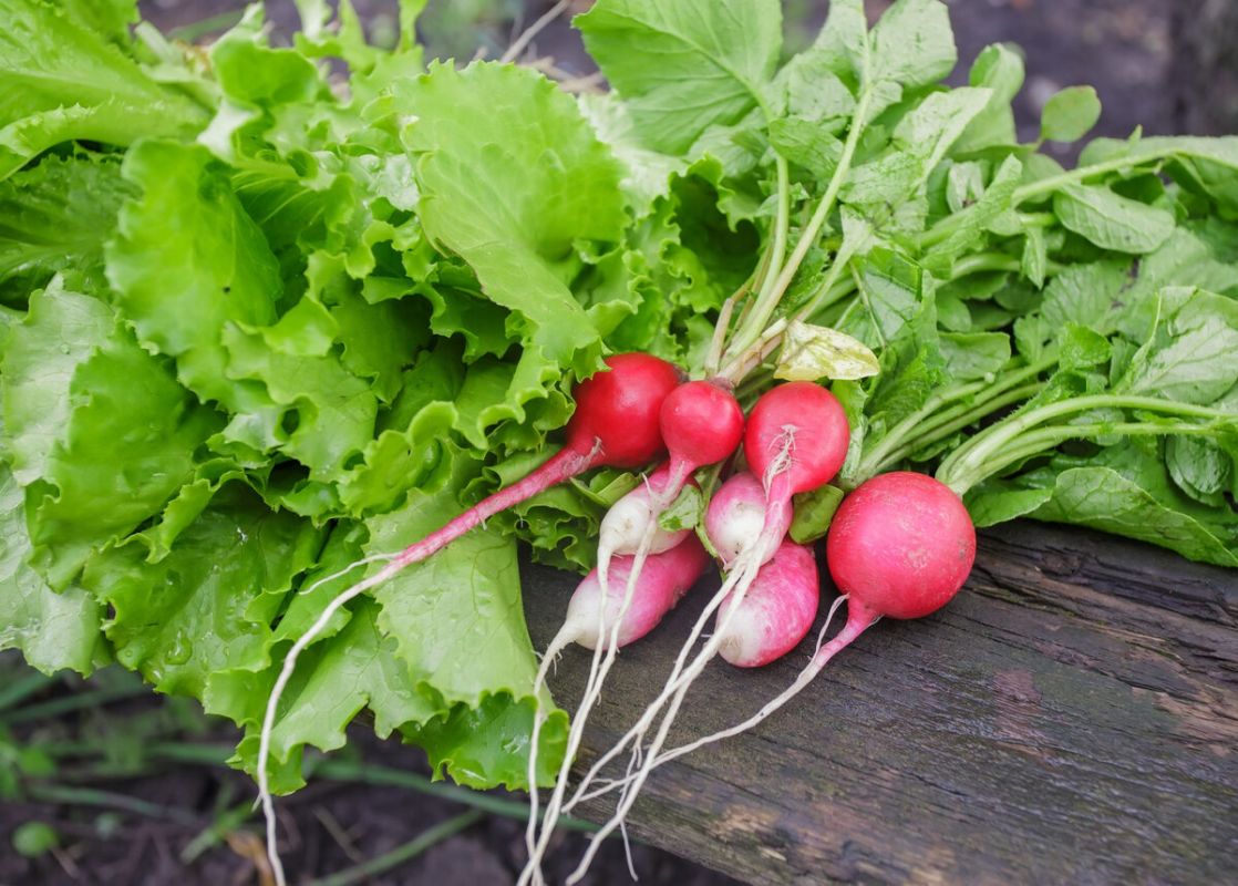 ��� ��������� �������� ������: ��������� ������ ��������� �� ����