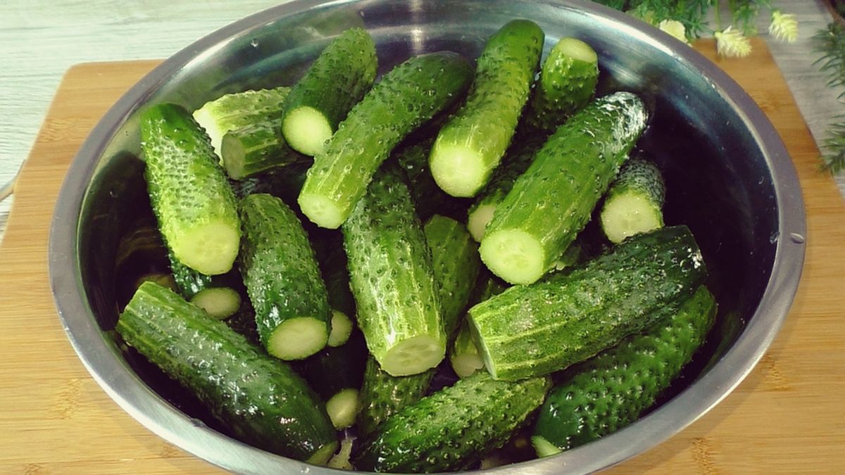 ������ ���������: ��� ������� ��������� ������������ �������