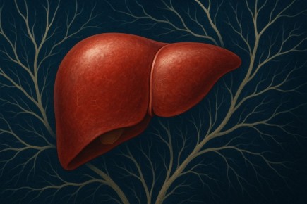 ��� ������, ��� ������ ��������� � ��������: ������������ ����� � ���� � �����������