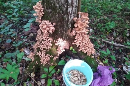 ������� ����� � ��������� ������: ��������� ���� ����