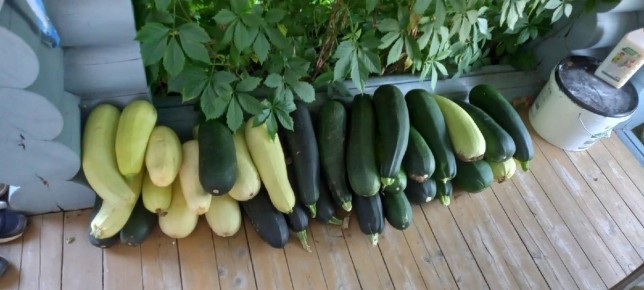 ���������� ��������: ������� ���� ��� ���������� ��������