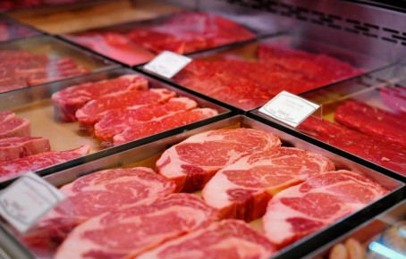 ��� ������� ������������ ����: ������ �� ������������� ������������� � ������������