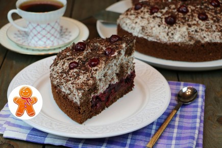 ������ ���� "����� �������": ��� ������� �������� ���������� �����