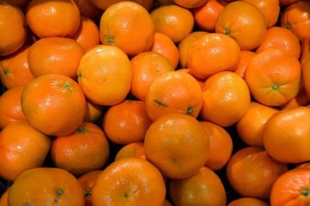 ���� �� ��������� ����� ���������� ����������� ����� ����� �����