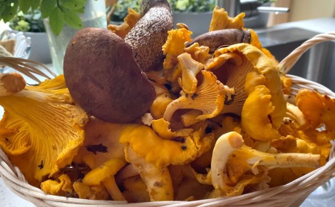 ������� ������ �� �������: ��� ������� ������ �����