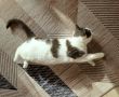 Два месяца без сахара: Как меняется жизнь и здоровье